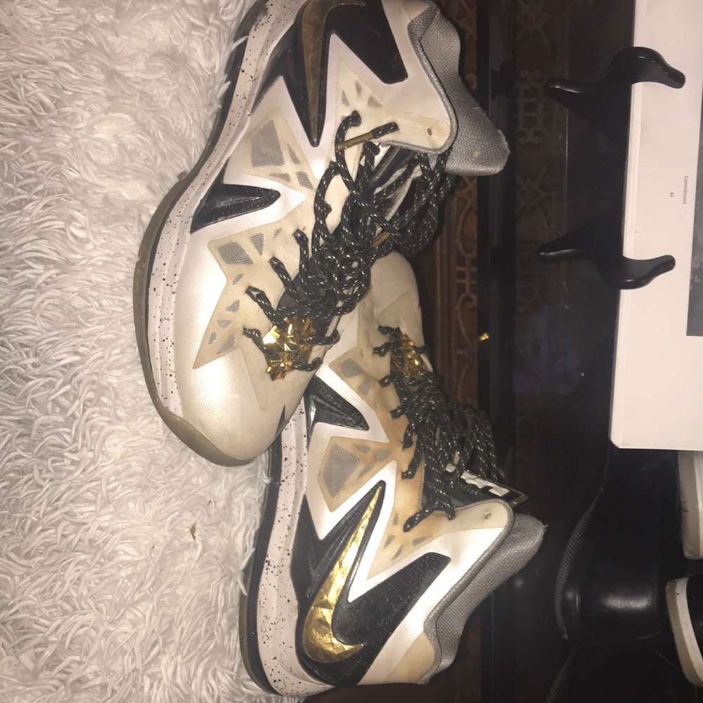 Lebron 10 Basketball Shoe